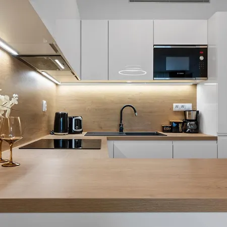 Skypark Spacious Free Parking 公寓 布拉迪斯拉发