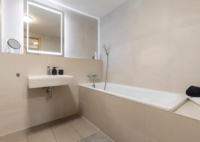 公寓 Skypark Spacious Free Parking 布拉迪斯拉发